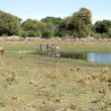 BWA_NW_OkavangoDelta_2016DEC01_Nguma_012.jpg